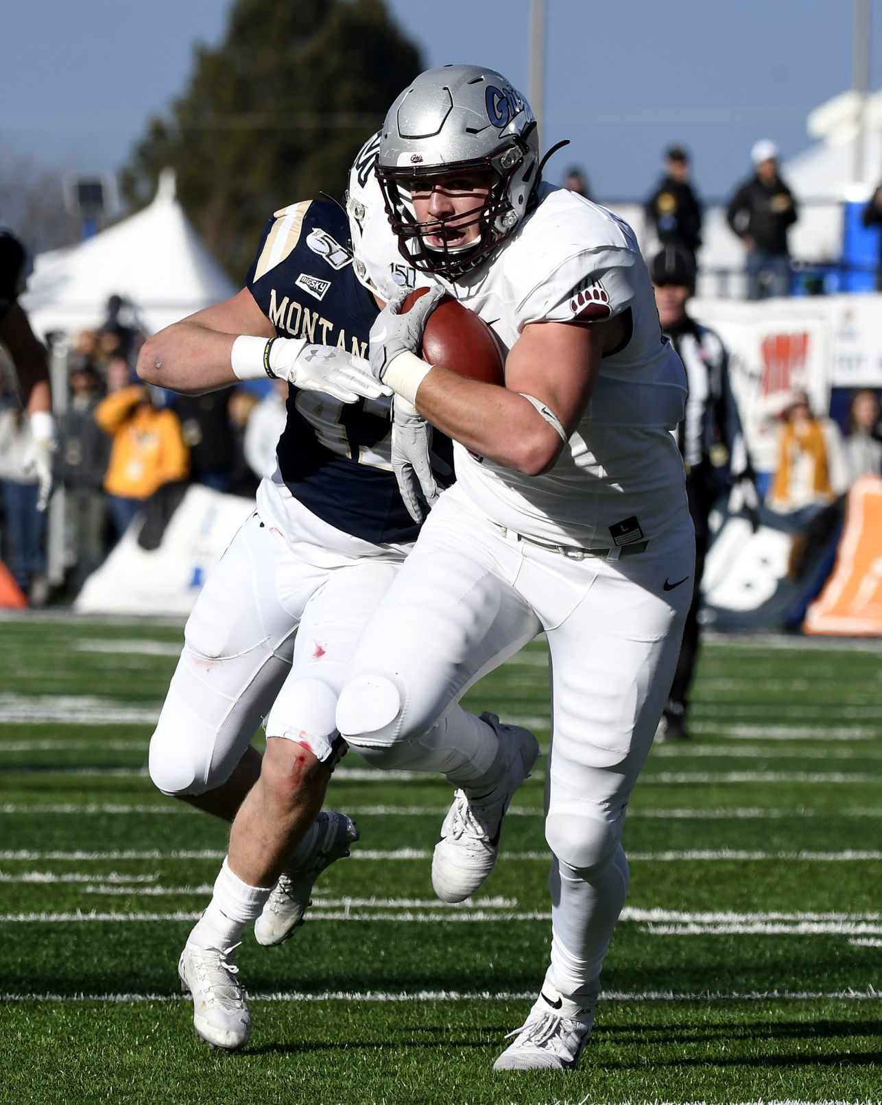 Griz Cat 2019 14.JPG